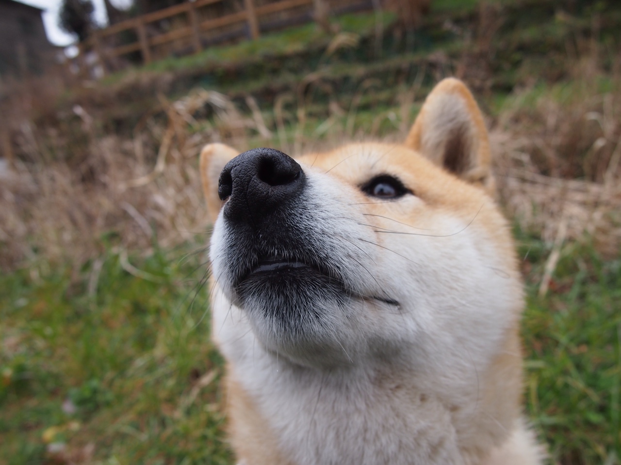 开云体育-足球之圆，从威尔士的钢铁洪流到三笘薰的灵巧接管