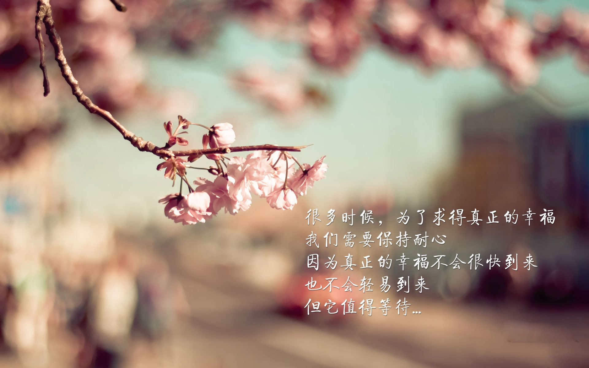 平行宇宙的篮球共振,当约基奇遇见浙江,颠覆竟如此相似