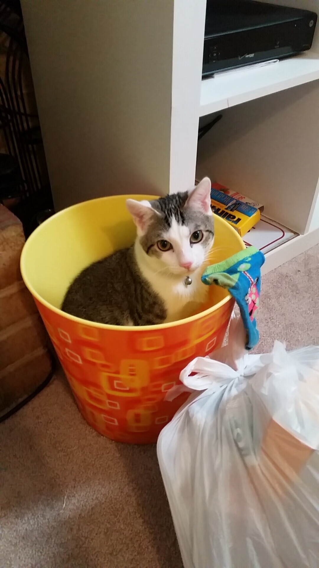 无声的深海暗流,若日尼奥以马里节奏窒息西班牙