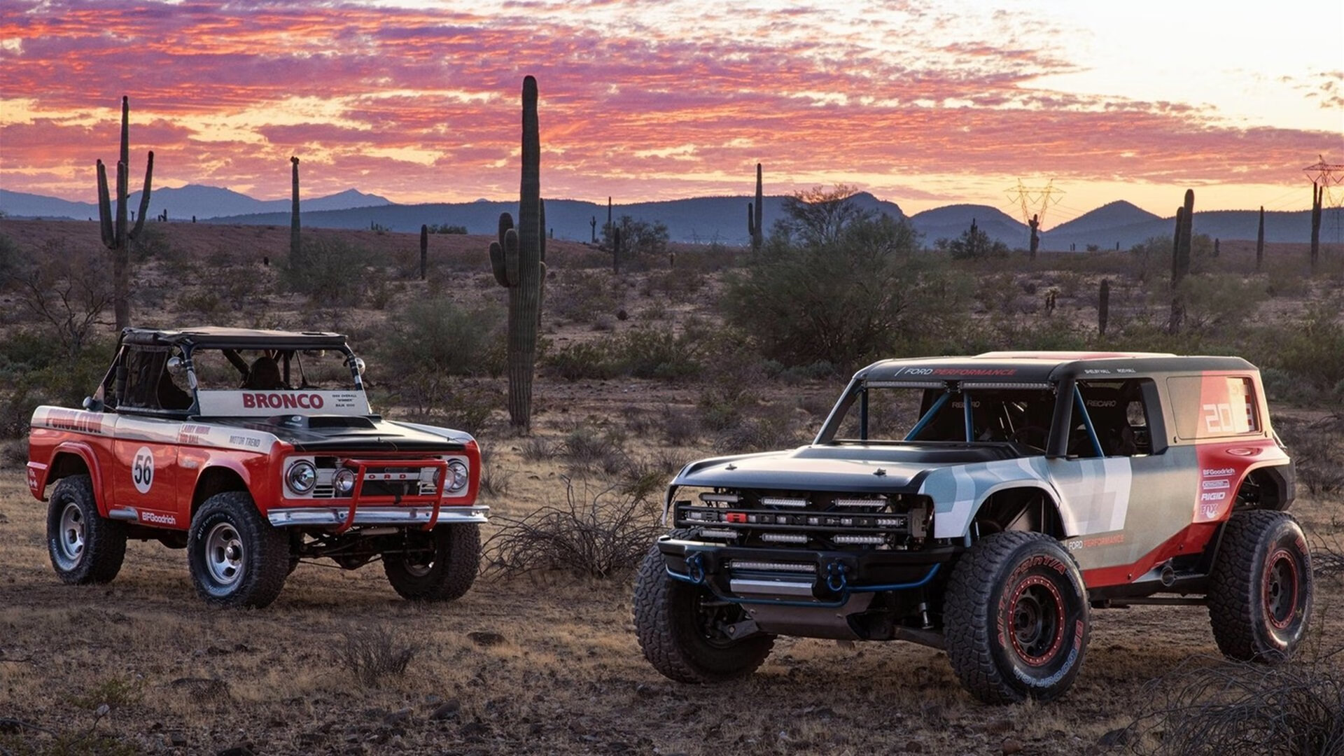 开云体育平台APP-绿茵火焰，从沙漠风暴到亚平宁的星光—摩洛哥的集体炮火与迪巴拉的孤胆接管
