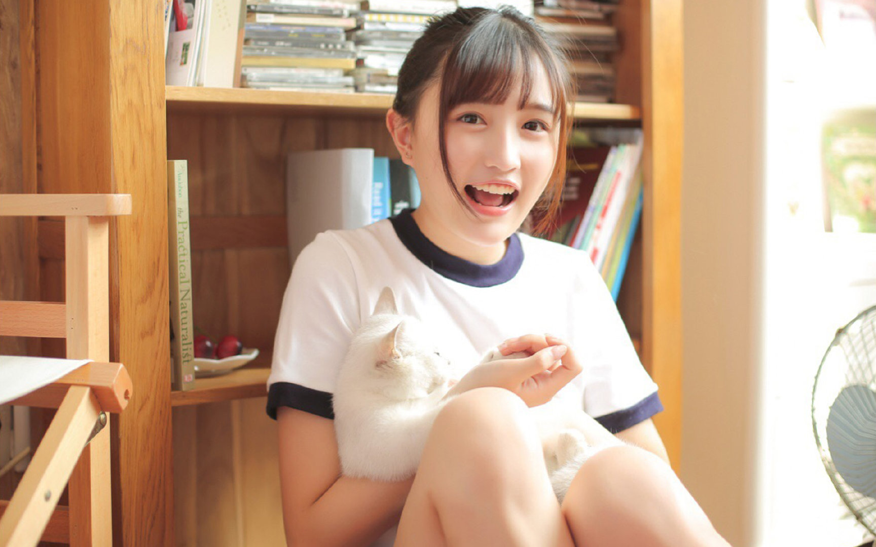 亚特兰大,击溃维京之盾,当意大利火山熔化了冰岛冰川