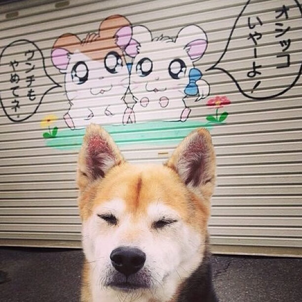 引擎之心,爱德华兹如何点燃F1街道赛的团队之魂