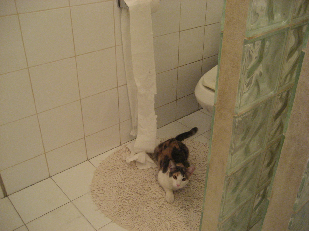 德甲争冠，当雷恩式高压，碾过荷兰式理想