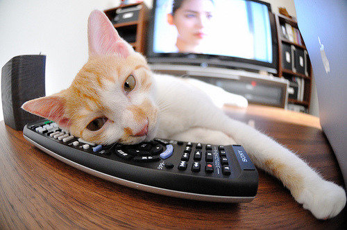 苍穹为幕，巨掌定局，文班亚马在年度焦点之夜的绝对统治