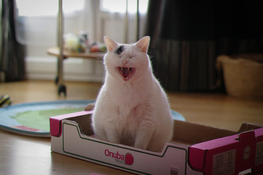 开云体育在线-年度焦点之战，莫兰特戏耍老鹰第三节，掘金单节拉开完美个人秀