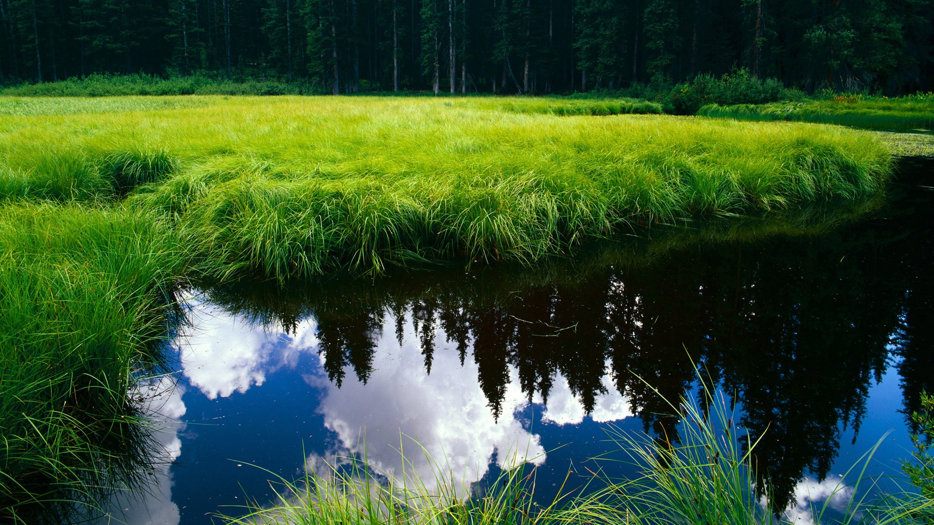 开云体育app-最后的秒表滴答声，当布鲁诺的双拳击碎预言