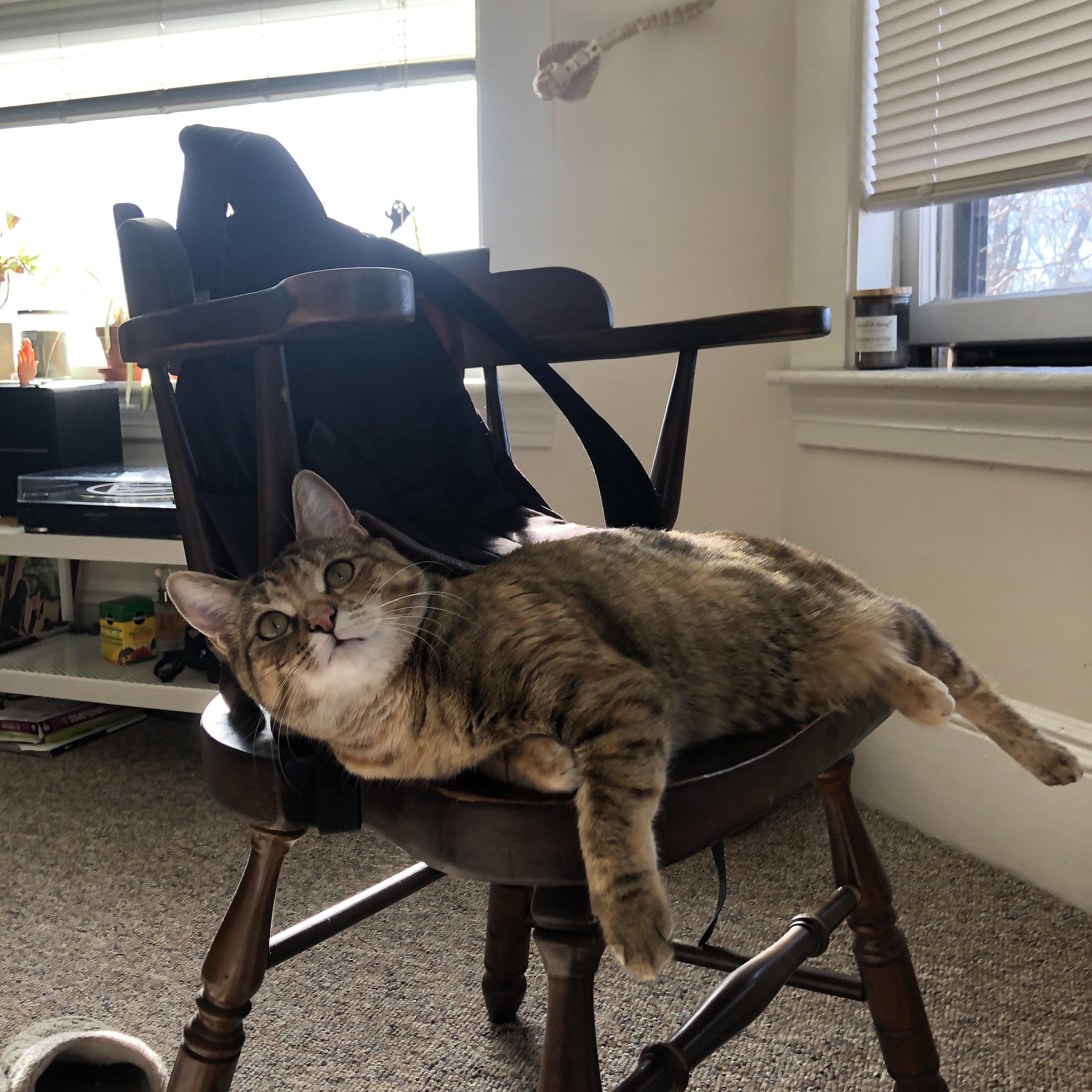 双重唯一性，威尔士的震撼胜利与阿尔瓦雷斯的欧冠传奇