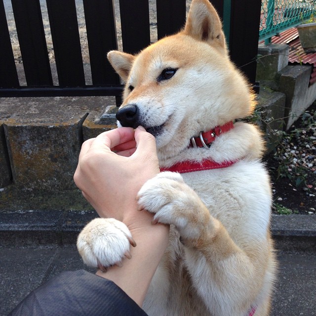 篮球赛场上的进站窗口，当活塞突破森林狼的瞬间，乔治在银石赛道的终圈超车