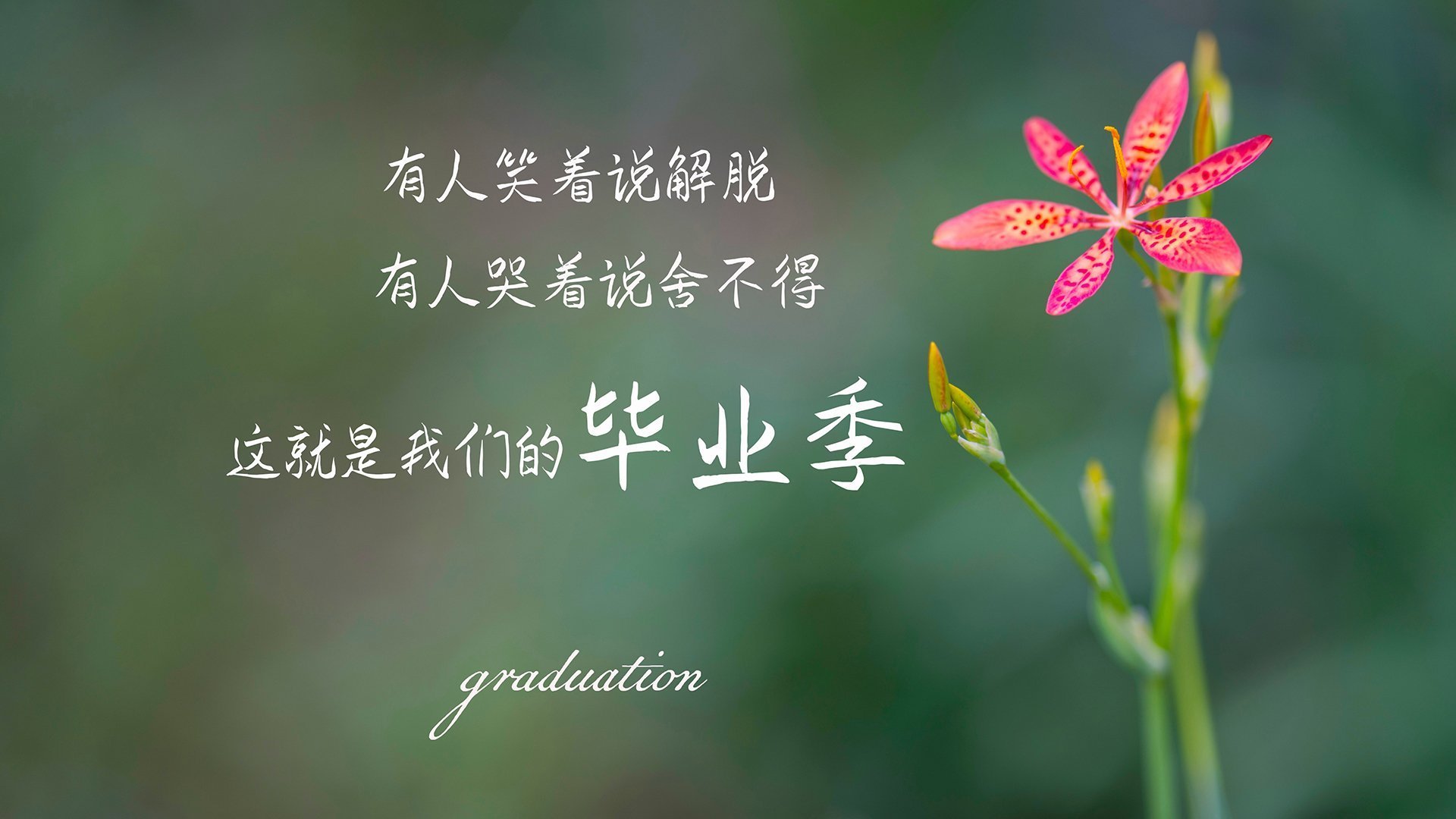 晨昏线划过伊比利亚，皇家社会新王加冕，斯通斯一球定乾坤