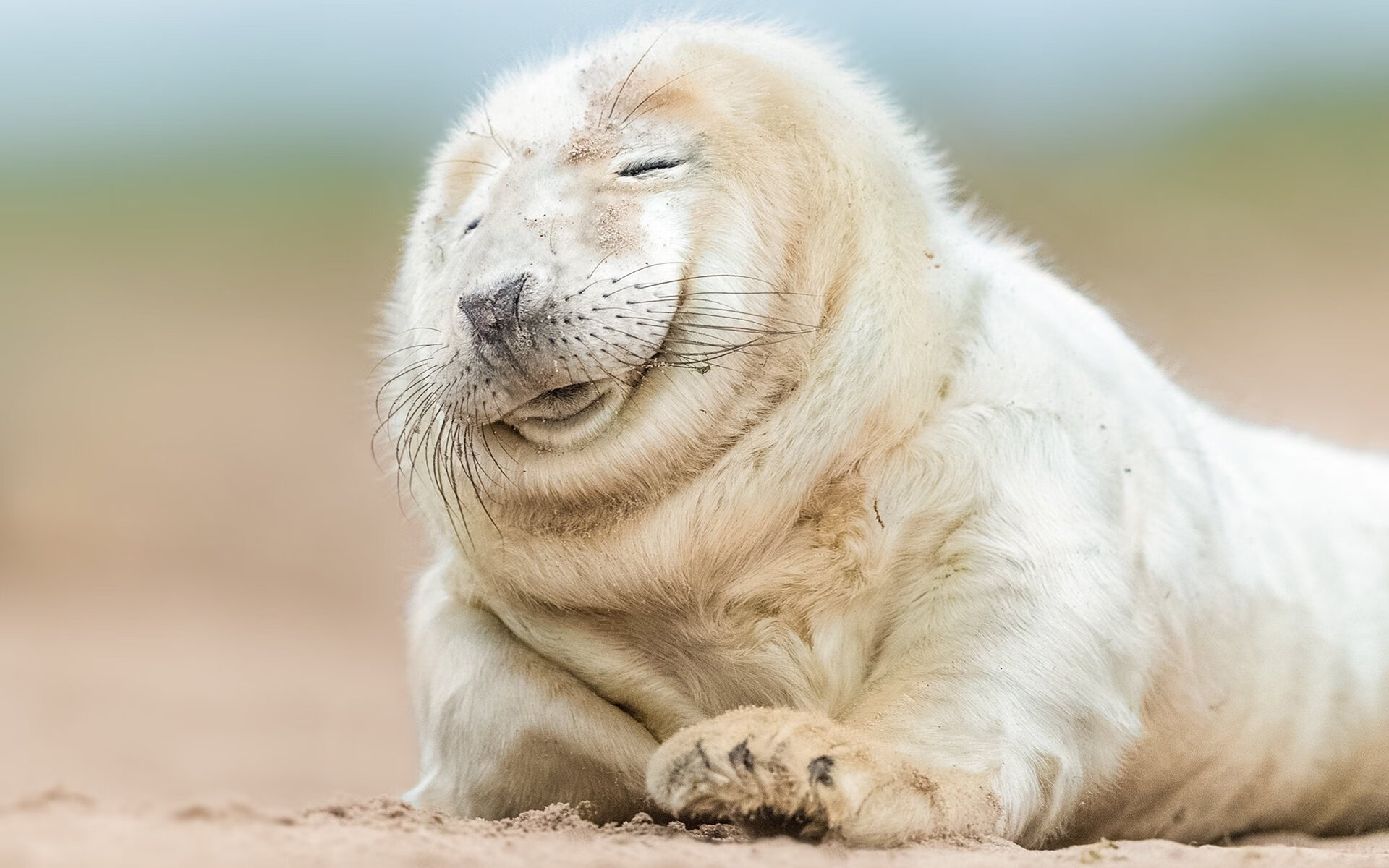 开云体育入口-孤独舞者与他的交响乐，当克瓦拉茨赫利亚在巴黎的雨夜指挥波兰防线