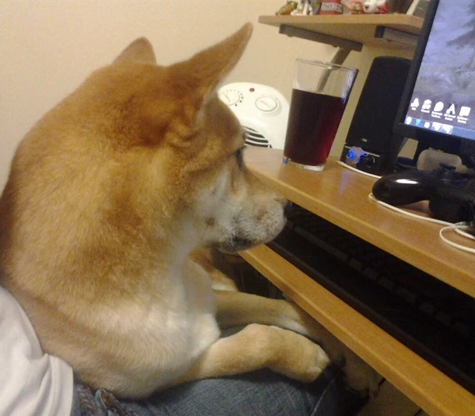 最后2.7秒，当杜兰特的子弹击穿辽宁，一个改写中国篮球未来的夜晚