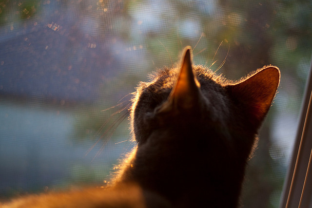 当拉什福德穿上巴萨球衣，一场改写爱尔兰足球记忆的奇幻逆转