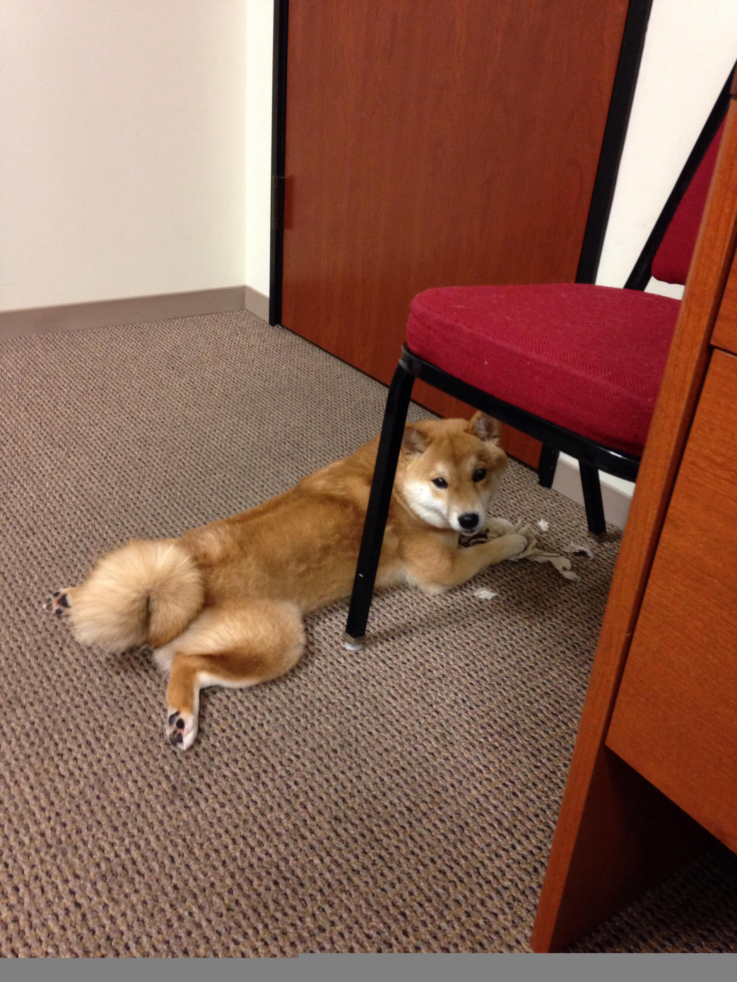 竞技场上的双重奏，当铁血团队与个人英雄主义同台闪耀