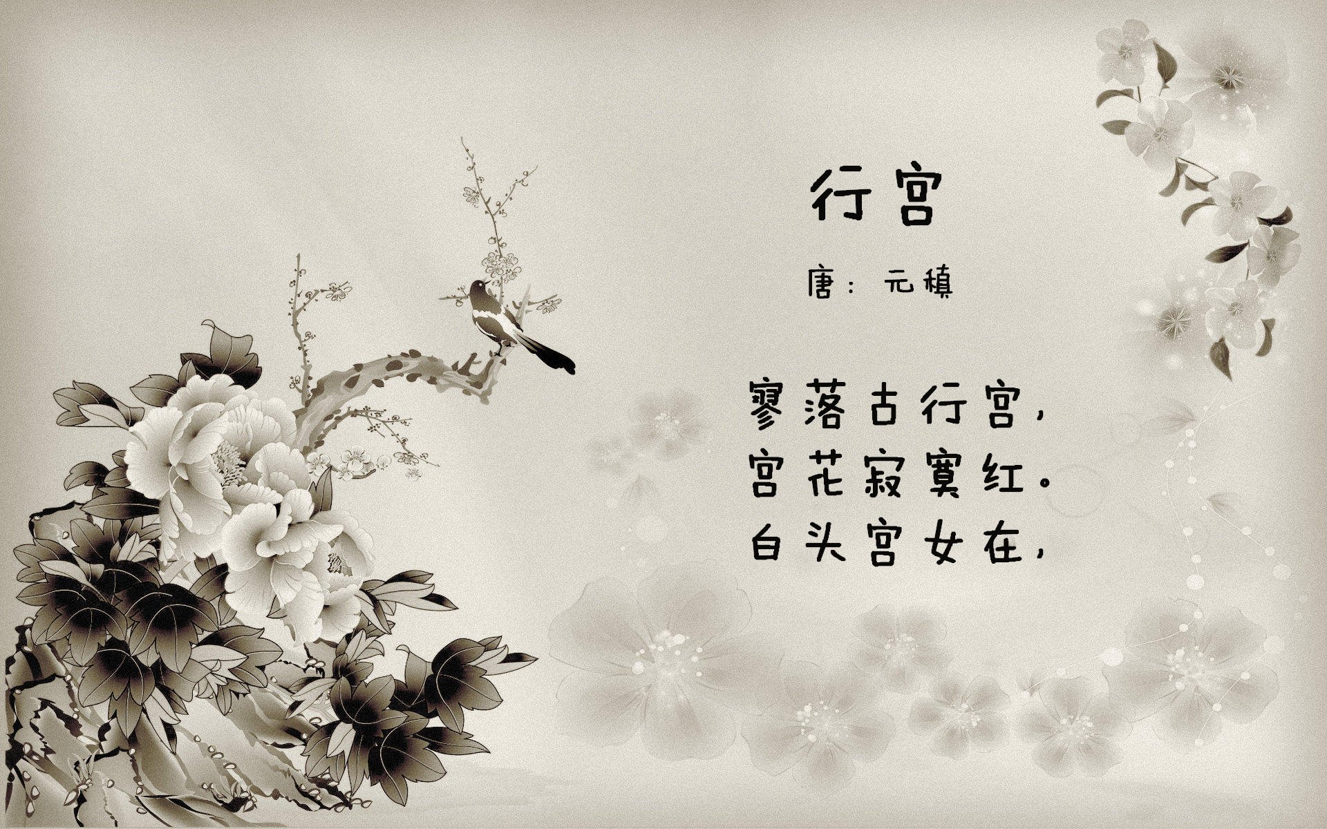 开云体育APP下载-改写结局之人