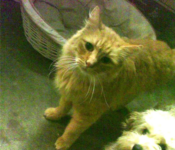 洛城启示录，当终场哨响，伦纳德在年度焦点之战中刻下两万五千个答案