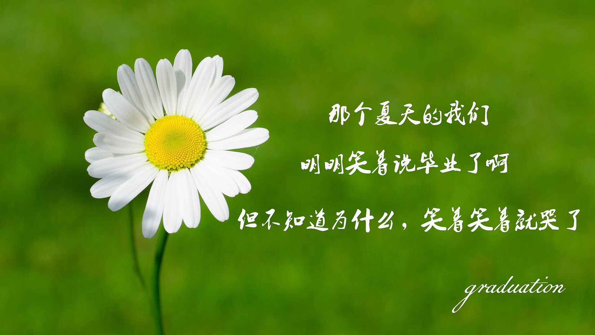 让我们先来扩展思维,构思几个不同风格的标题,再选择最契合的一个进行创作
