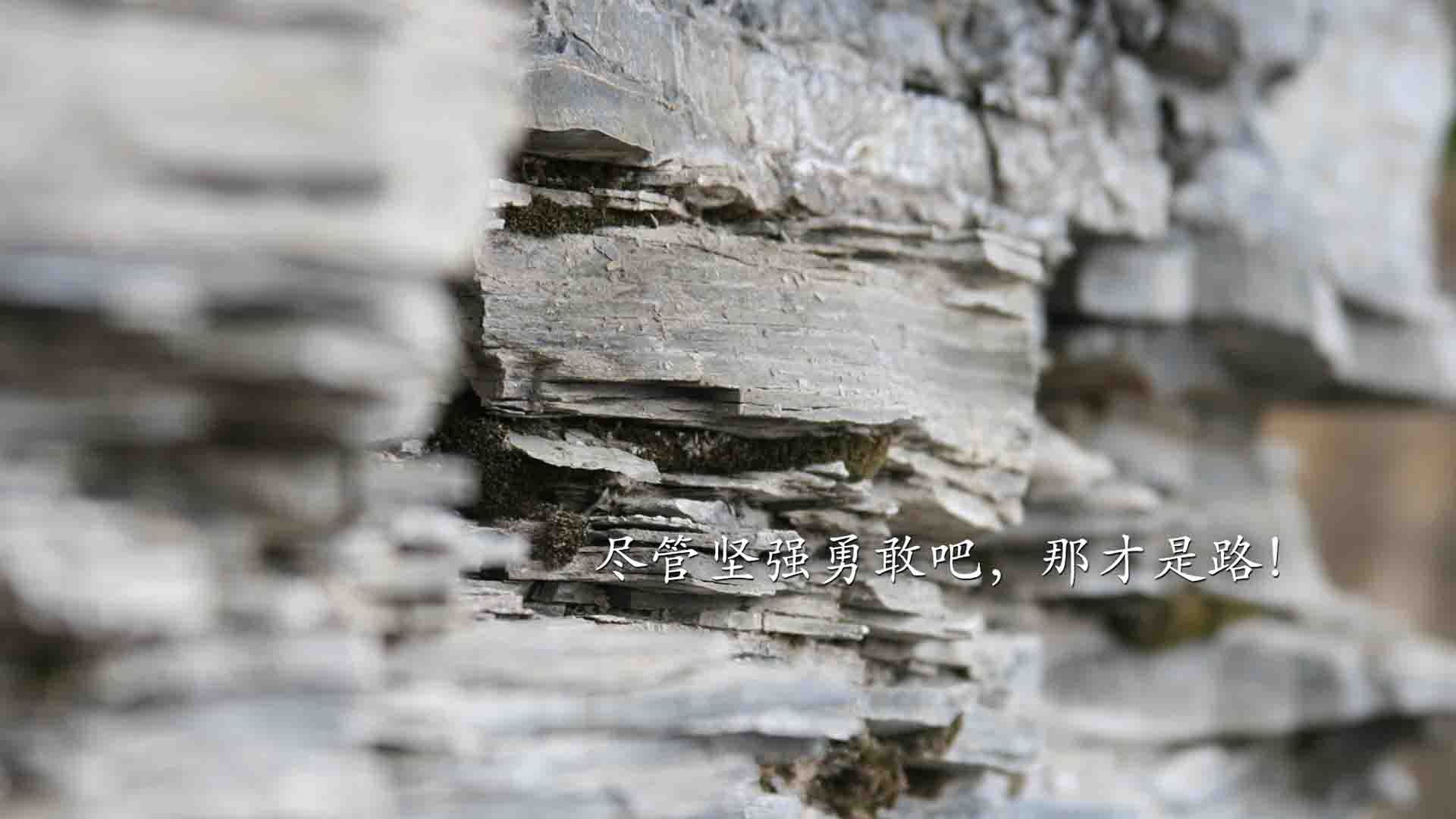 北欧海盗的救兵，当吉鲁的铁蹄踏破维也纳森林