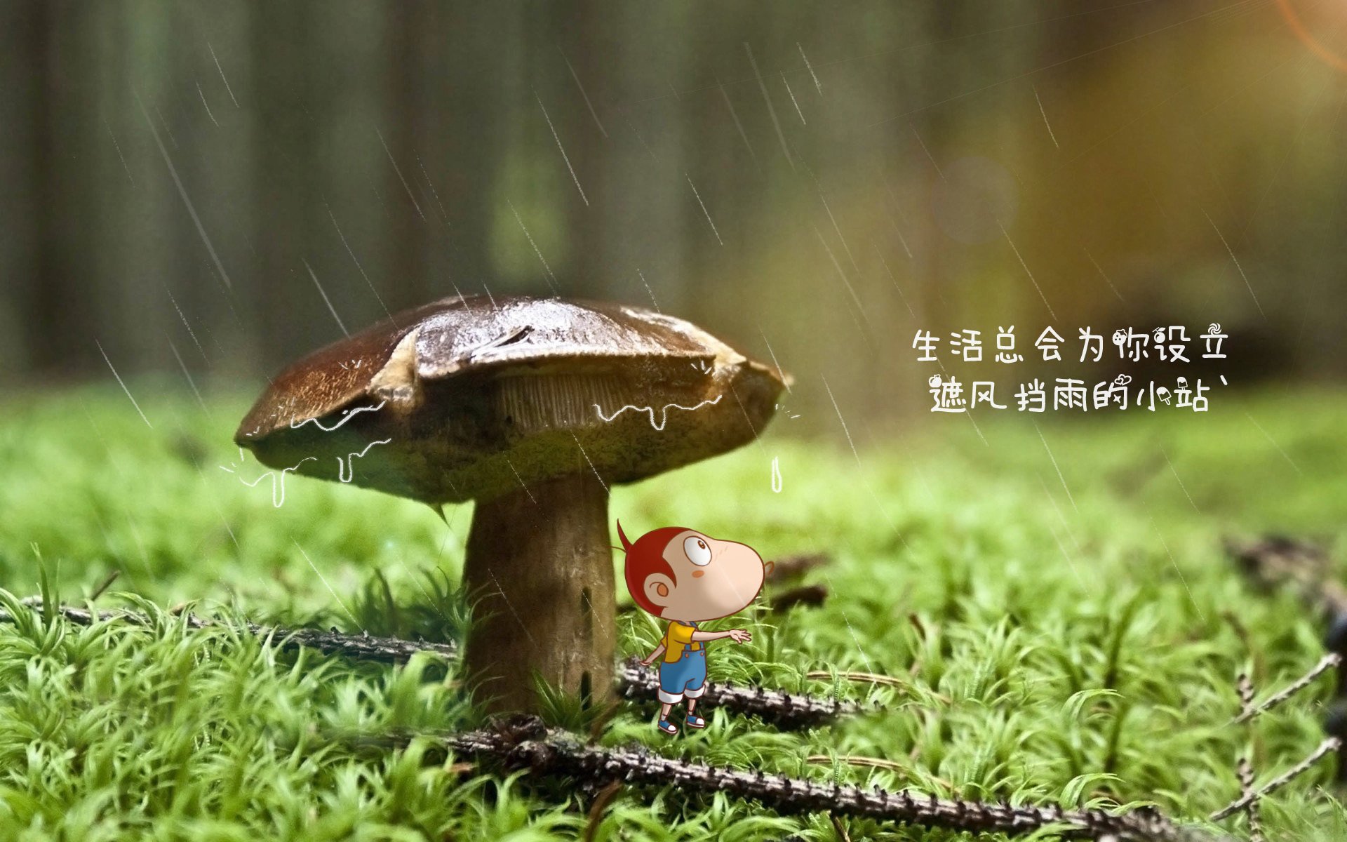 黑马踏碎波斯铁骑，高卢王者一剑封喉，2026世界杯A组哥斯达黎加如何书写唯一剧本