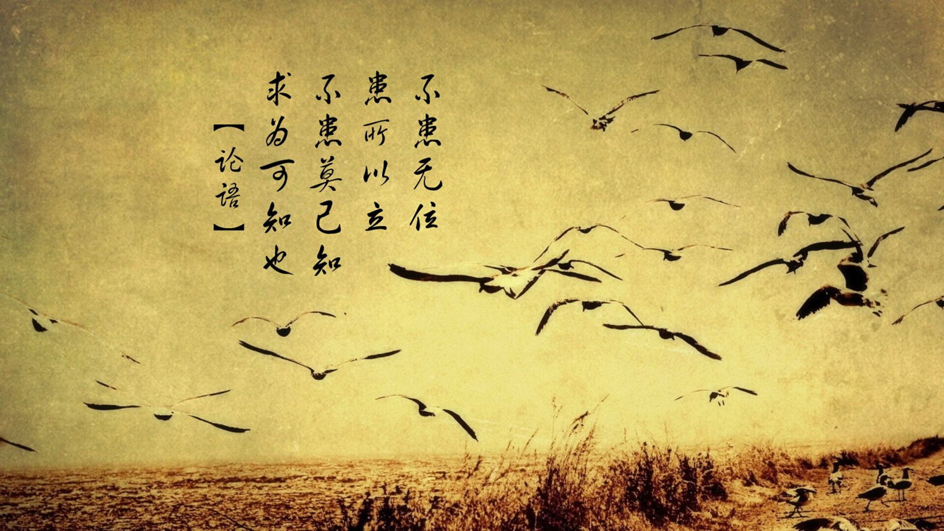 暮光与黎明，当莫德里奇的魔术，在巴格达城墙前逆转了时间