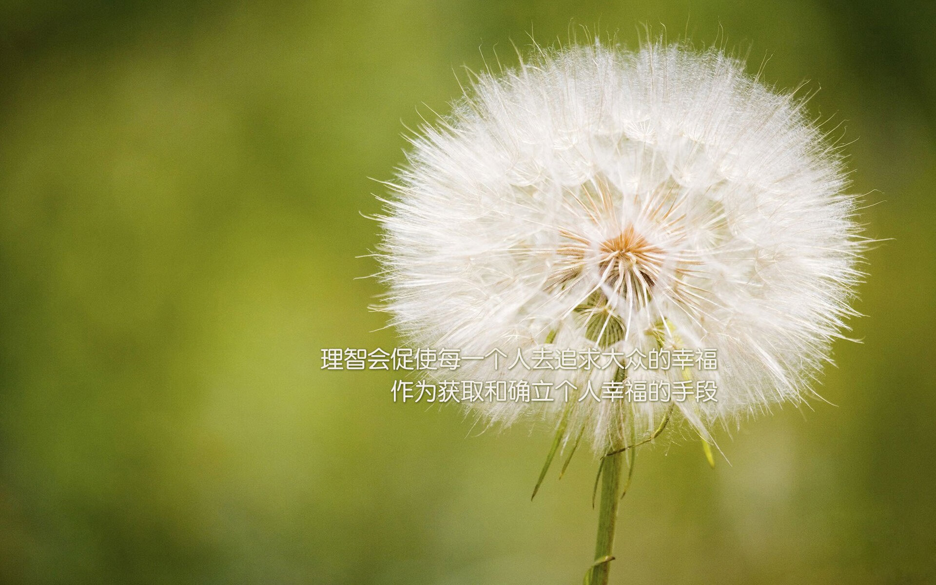 冰与火之歌,2026世界杯E组,冰岛绝境逆转伊拉克,萨内如神兵天降改写命运